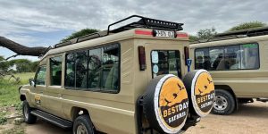 Bestday Safaris